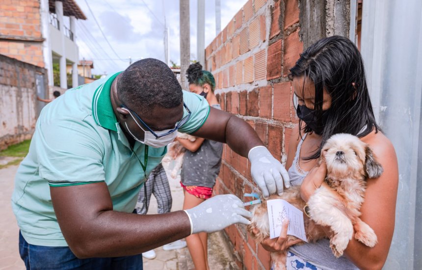 Campanha de vacinação antirrábica animal segue até 17 de setembro em Camaçari